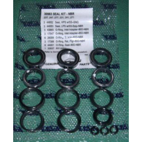 Kit guarnizioni pompa Dessalator HP 277